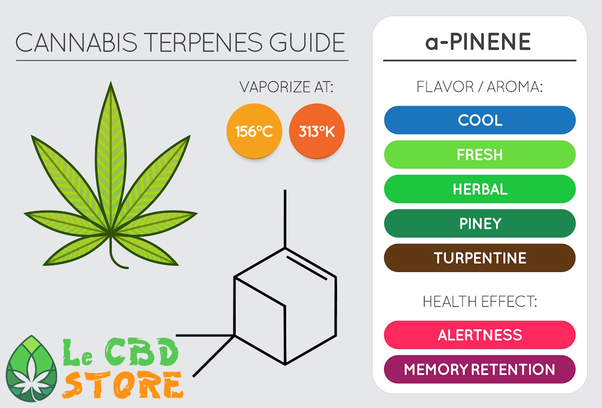 Cannabis Alpha-Pinène