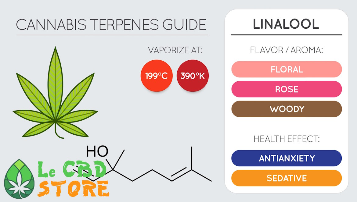 Cannabis terpène Linalol