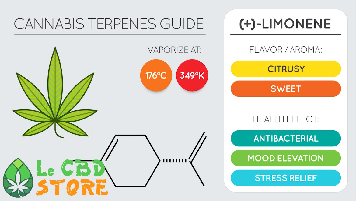 Cannabis Limonéne